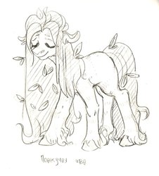 Size: 893x990 | Tagged: source needed, useless source url, safe, artist:lothard juliet, oc, oc only, oc:willow, earth pony, pony, eyes closed, leaves, monochrome, ponified, smiling, solo, traditional art, unshorn fetlocks