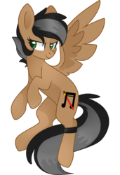 Size: 2048x3000 | Tagged: safe, artist:cinnamontee, oc, oc only, oc:artsong, pegasus, pony, female, high res, mare, simple background, solo, transparent background