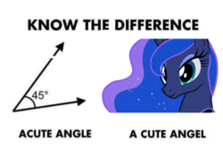 Size: 1264x891 | Tagged: safe, princess luna, alicorn, pony, g4, acute angle, cute, exploitable meme, female, know the difference, lunabetes, mare, meme, pun, solo