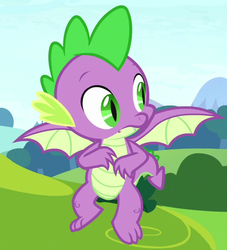 Size: 523x576 | Tagged: safe, screencap, spike, dragon, a matter of principals, g4, claws, cropped, flying, male, raised eyebrows, solo, spread wings, tail, toes, winged spike, wings