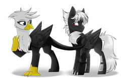 Size: 1800x1116 | Tagged: safe, artist:cloud-fly, oc, oc only, griffon, pegasus, pony, male, scar, simple background, stallion, white background