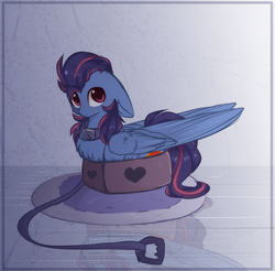 Size: 1004x989 | Tagged: dead source, safe, artist:php146, oc, oc only, oc:lost, pegasus, pony, behaving like a cat, box, collar, if i fits i sits, leash, male, pony in a box, pony pet, prone, solo, stallion