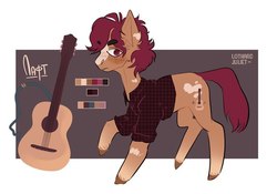 Size: 604x424 | Tagged: safe, artist:lothard juliet, oc, oc only, earth pony, pony, clothes, freckles, guitar, male, plaid shirt, reference sheet, shirt, solo, stallion