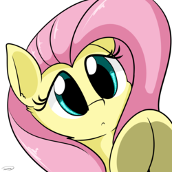 Size: 2362x2362 | Tagged: safe, artist:taurson, fluttershy, pony, g4, breaking the fourth wall, bust, curious, cute, female, fourth wall, frog (hoof), high res, looking at you, poking, portrait, shyabetes, simple background, solo, underhoof, white background