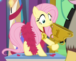 Size: 673x536 | Tagged: safe, screencap, discord, fluttershy, pony, g4, my little pony best gift ever, cropped, feather boa, female, hoof hold, mare, medal, solo focus, trophy