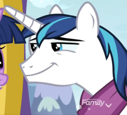 Size: 735x671 | Tagged: safe, screencap, shining armor, pony, unicorn, g4, my little pony best gift ever, clothes, cropped, discovery family logo, faic, male, offscreen character, reaction image, smug, solo focus, stallion, winter outfit