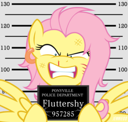 Size: 3134x3000 | Tagged: safe, artist:jennieoo, fluttershy, pegasus, pony, g4, angry, blood, breaking bad, ear piercing, earring, female, gritted teeth, height scale, high res, jewelry, mare, messy mane, mugshot, nosebleed, piercing, scar, show accurate, solo, wide eyes