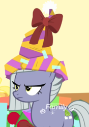 Size: 757x1080 | Tagged: safe, screencap, limestone pie, earth pony, pony, g4, my little pony best gift ever, clothes, cropped, female, hat, limestone pie is not amused, mare, solo, unamused, winter outfit