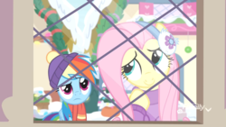 Size: 1920x1080 | Tagged: safe, screencap, fluttershy, rainbow dash, pegasus, pony, g4, my little pony best gift ever, clothes, cute, duo, female, fluttershy's purple sweater, hat, mare, pondering, scarf, snow, sweater, sweatershy, window, winter outfit