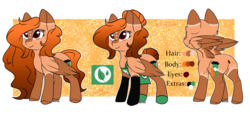 Size: 2272x1032 | Tagged: safe, artist:moonwolf96, oc, oc only, oc:pumpkin maple spice, pegasus, pony, apron, clothes, female, mare, reference sheet, simple background, solo, transparent background