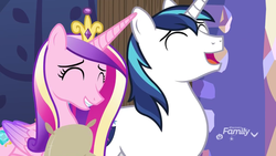 Size: 912x513 | Tagged: safe, screencap, princess cadance, shining armor, alicorn, pony, unicorn, g4, my little pony best gift ever, duo, eyes closed, female, flour, laughing, male, mare, stallion