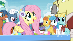 Size: 1920x1080 | Tagged: safe, screencap, clean sweep, flim, fluttershy, helia, lightning bolt, love sketch, warm front, white lightning, earth pony, pegasus, pony, g4, my little pony best gift ever, clothes, discovery family logo, disguise, earmuffs, female, happy, male, mare, open mouth, scarf, smiling, stallion, sweater, winter outfit