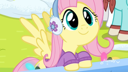 Size: 1920x1080 | Tagged: safe, screencap, fluttershy, pegasus, pony, best gift ever, g4, adorable face, clothes, cute, daaaaaaaaaaaw, discovery family logo, earmuffs, female, hnnng, mare, shyabetes, smiling, solo focus, spread wings, sweater, weapons-grade cute, wide eyes, wings, winter outfit