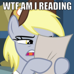 Size: 500x500 | Tagged: safe, edit, edited screencap, screencap, derpy hooves, pegasus, pony, best gift ever, g4, caption, cropped, female, hat, hoof hold, image macro, impact font, mailmare, mailmare hat, mare, meme, open mouth, reaction image, reading, squint, text, what the fuck am i reading
