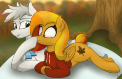 Size: 1584x1031 | Tagged: safe, artist:soctavia, oc, oc only, oc:autumn ember, oc:winter stripes, pegasus, pony, autumn, blanket, boop, clothes, cuddling, cute, female, hoodie, lying down, male, oc x oc, picnic, scarf, scrunchy face, shipping, surprised, tree