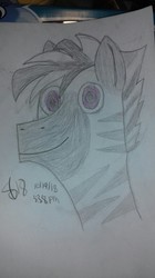 Size: 1824x3264 | Tagged: safe, artist:seabridge drive, oc, oc only, oc:zedekiah, pony, zebra, looking at you, solo, traditional art, zebra oc