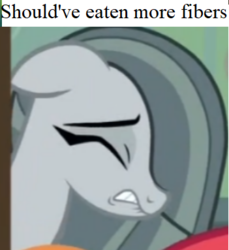 Size: 351x384 | Tagged: safe, edit, edited screencap, screencap, marble pie, earth pony, pony, g4, my little pony best gift ever, caption, constipated, cropped, eyes closed, female, heartbroken marble, image macro, lip bite, mare, meme, side chick, text