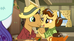 Size: 1920x1080 | Tagged: safe, screencap, butternut, oak nut, rarity, earth pony, pony, unicorn, best gift ever, g4, acorn, butteroak, cheek squish, clothes, couple, cup, curtains, discovery family logo, dress, eye contact, farm, farmhouse, female, food, hat, holding hooves, husband and wife, kitchen, ladder, looking at each other, male, mare, shipping, shirt, sitting, squishy cheeks, stallion, straight, sweet acorn orchard, tea, teacup, teapot, winter outfit