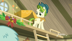 Size: 1920x1080 | Tagged: safe, screencap, pistachio, earth pony, pony, g4, my little pony best gift ever, >:), acorn, bed, bow, christmas ornament, clothes, decoration, discovery family logo, farmhouse, hat, ladder, loft, male, scarf, stallion, sweet acorn orchard, teenager