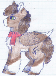 Size: 506x678 | Tagged: safe, artist:69beas, oc, oc only, oc:luke pineswood, pegasus, pony, chest fluff, clothes, ear fluff, male, reference sheet, scarf, solo, stallion, traditional art, unshorn fetlocks