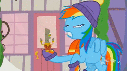 Size: 1152x640 | Tagged: safe, screencap, discord, rainbow dash, alicorn, pegasus, pony, g4, my little pony best gift ever, animated, candle, candlestick, clothes, discord candle, female, ghost candle, hat, male, mare, scaredy dash, scarf, sound, webm, winter outfit