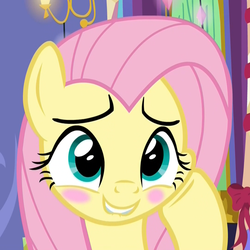 Size: 1079x1078 | Tagged: safe, screencap, fluttershy, pegasus, pony, g4, my little pony best gift ever, adorable face, blushing, cropped, cute, daaaaaaaaaaaw, embarrassed, female, hnnng, lip bite, mare, shyabetes, smiling, solo