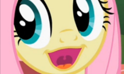 Size: 1121x668 | Tagged: safe, screencap, fluttershy, pony, g4, may the best pet win, season 2, close-up, cropped, extreme close-up, female, meme, open mouth, smug, solo