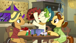 Size: 1920x1080 | Tagged: safe, screencap, butternut, oak nut, pistachio, earth pony, pony, g4, my little pony best gift ever, acorn, acorn family, chair, cowboy hat, curtains, family, farm, farmhouse, female, hat, husband and wife, male, mare, oven, present, sitting, stallion, stove, sweet acorn orchard, table, teenager