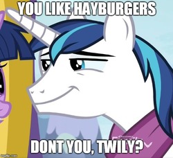 Size: 547x499 | Tagged: safe, edit, edited screencap, screencap, shining armor, g4, my little pony best gift ever, cropped, dialogue, just one bite, male, meme, nickelodeon, parody, smug, solo focus, spongebob squarepants, stallion, text, twilight burgkle, you like krabby patties don't you squidward?