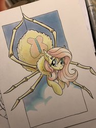 Size: 1536x2048 | Tagged: safe, artist:tonyfleecs, fluttershy, monster pony, original species, spiderpony, g4, cute, female, looking at you, multiple eyes, shyabetes, smiling, solo, species swap, spidershy, traditional art