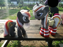 Size: 901x676 | Tagged: safe, artist:epicrainbowcrafts, pinkie pie, oc, oc:velvet remedy, pony, unicorn, fallout equestria, g4, clothes, cute, cutie mark, fanfic, female, fluttershy medical saddlebag, grass, hooves, horn, irl, mare, medical saddlebag, photo, pinkamena diane pie, plushie, saddle bag, socks, striped socks, table
