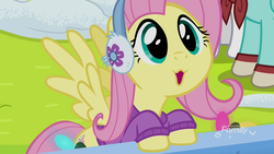 Size: 1920x1080 | Tagged: safe, screencap, fluttershy, pegasus, pony, g4, my little pony best gift ever, :3, clothes, cute, cute face, dhx is trying to murder us, earmuffs, female, fluttershy's purple sweater, mare, shyabetes, snow, solo, spread wings, sweater, sweatershy, weapons-grade cute, wings, winter outfit