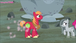 Size: 1280x720 | Tagged: safe, edit, edited screencap, screencap, big macintosh, cherry cola, cherry fizzy, citrine spark, fire quacker, marble pie, peppermint goldylinks, pinkie pie, sugar belle, wensley, earth pony, pony, g4, hearthbreakers, my little pony best gift ever, animated, female, friendship student, heartbreak, heartbroken marble, male, mare, mistletoe, pushing, rump push, ship:marblemac, ship:sugarmac, shipping, shipping denied, side chick, sound, stallion, straight, webm