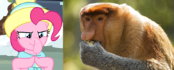 Size: 2771x1125 | Tagged: safe, edit, edited screencap, screencap, pinkie pie, monkey, pony, g4, my little pony best gift ever, proboscis monkey