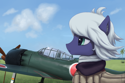 Size: 2100x1401 | Tagged: safe, artist:mrscroup, oc, oc only, pony, aircraft, clothes, cloud, grass, imperial japanese navy, japanese, japanese empire, mitsubishi a6m zero, palm tree, sky, solo, tree, world war ii