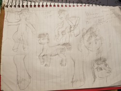 Size: 1205x904 | Tagged: safe, earth pony, pony, unicorn, generic pony, pencil drawing, sketch, sketch dump, traditional art