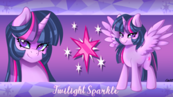 Size: 3840x2160 | Tagged: safe, artist:ciderpunk, twilight sparkle, alicorn, pony, g4, bust, high res, looking at you, twilight sparkle (alicorn), wallpaper