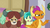 Size: 1280x720 | Tagged: safe, screencap, sandbar, smolder, yona, dragon, earth pony, pony, g4, my little pony: friendship is magic, the hearth's warming club, argument, claws, door, dragon wings, dragoness, fangs, female, hooves, horns, male, stallion, wings, wreath