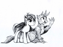 Size: 981x736 | Tagged: safe, artist:el-yeguero, gallus, sandbar, earth pony, griffon, pony, g4, claws, inktober, inktober 2018, male, monochrome, paws, simple background, tail, traditional art, white background