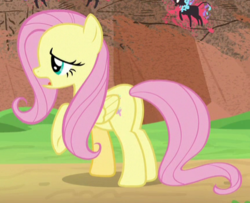 Size: 433x351 | Tagged: safe, screencap, fluttershy, pegasus, pony, g4, sounds of silence, butt, cropped, female, mare, plot, solo