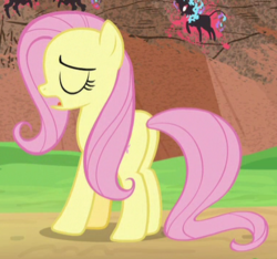Size: 383x358 | Tagged: safe, screencap, fluttershy, pegasus, pony, g4, sounds of silence, butt, cropped, eyes closed, female, flutterbutt, mare, open mouth, plot, solo