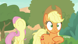 Size: 1920x1080 | Tagged: safe, screencap, applejack, fluttershy, earth pony, pegasus, pony, sounds of silence, :c, duo, female, frown, mare, messy mane, messy tail, nose in the air, tree, unamused