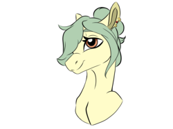 Size: 2732x2048 | Tagged: safe, artist:ask-y, oc, oc only, earth pony, pony, bust, female, high res, mare, portrait, simple background, solo, transparent background