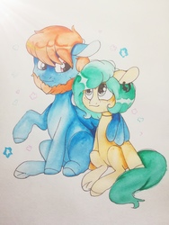 Size: 1620x2160 | Tagged: safe, artist:aliceub, oc, oc only, earth pony, pegasus, pony, beard, duo, facial hair, hug, simple background, traditional art, white background, winghug