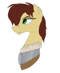 Size: 2500x3000 | Tagged: safe, artist:iseppe, idw, steela oresdotter, earth pony, pony, g4, legends of magic, bust, ear piercing, head, high res, mighty helm, piercing, scar, simple background, solo, transparent background