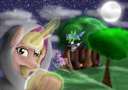 Size: 4960x3508 | Tagged: safe, artist:mr100dragon100, oc, book, forest, moon, night, tree, witch