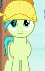 Size: 223x356 | Tagged: safe, screencap, sandbar, earth pony, pony, g4, non-compete clause, clothes, cropped, hard hat, hat, helmet, male, solo