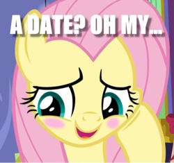 Size: 1018x955 | Tagged: safe, edit, edited screencap, screencap, fluttershy, pony, g4, my little pony best gift ever, blushing, cropped, cute, embarrassed, female, image macro, meme, shy, shyabetes, solo, squishy cheeks, text, waifu