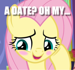 Size: 1018x955 | Tagged: safe, edit, edited screencap, screencap, fluttershy, pony, g4, my little pony best gift ever, blushing, bronybait, cropped, cute, embarrassed, female, image macro, meme, shy, shyabetes, solo, squishy cheeks, text, waifu