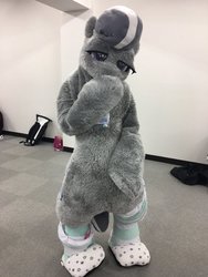 Size: 900x1200 | Tagged: safe, artist:inoue_nn_act, silver spoon, earth pony, pony, g4, clothes, fursuit, irl, japan ponycon, photo, pony festa, socks